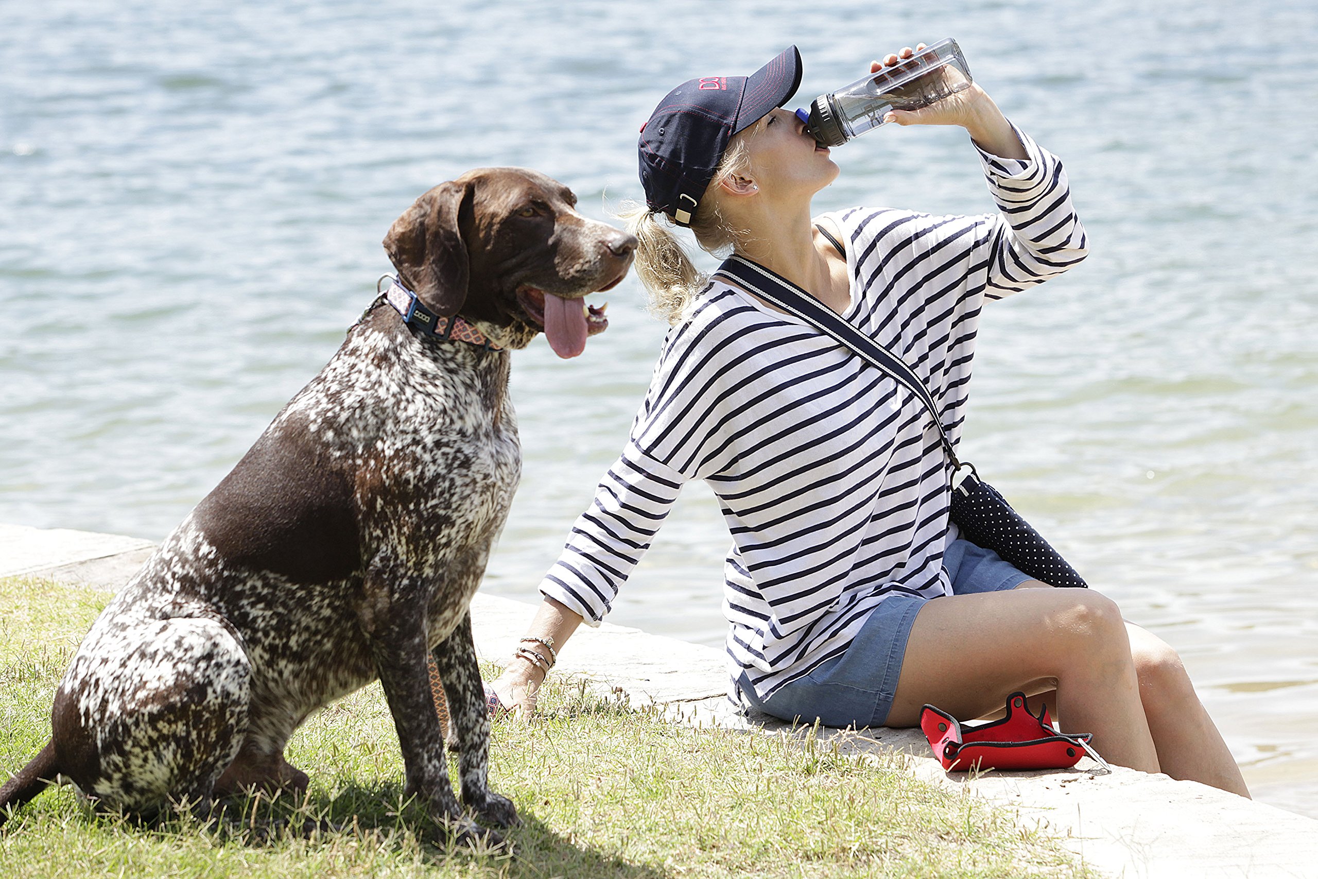 Pet Supplies : DOOG
