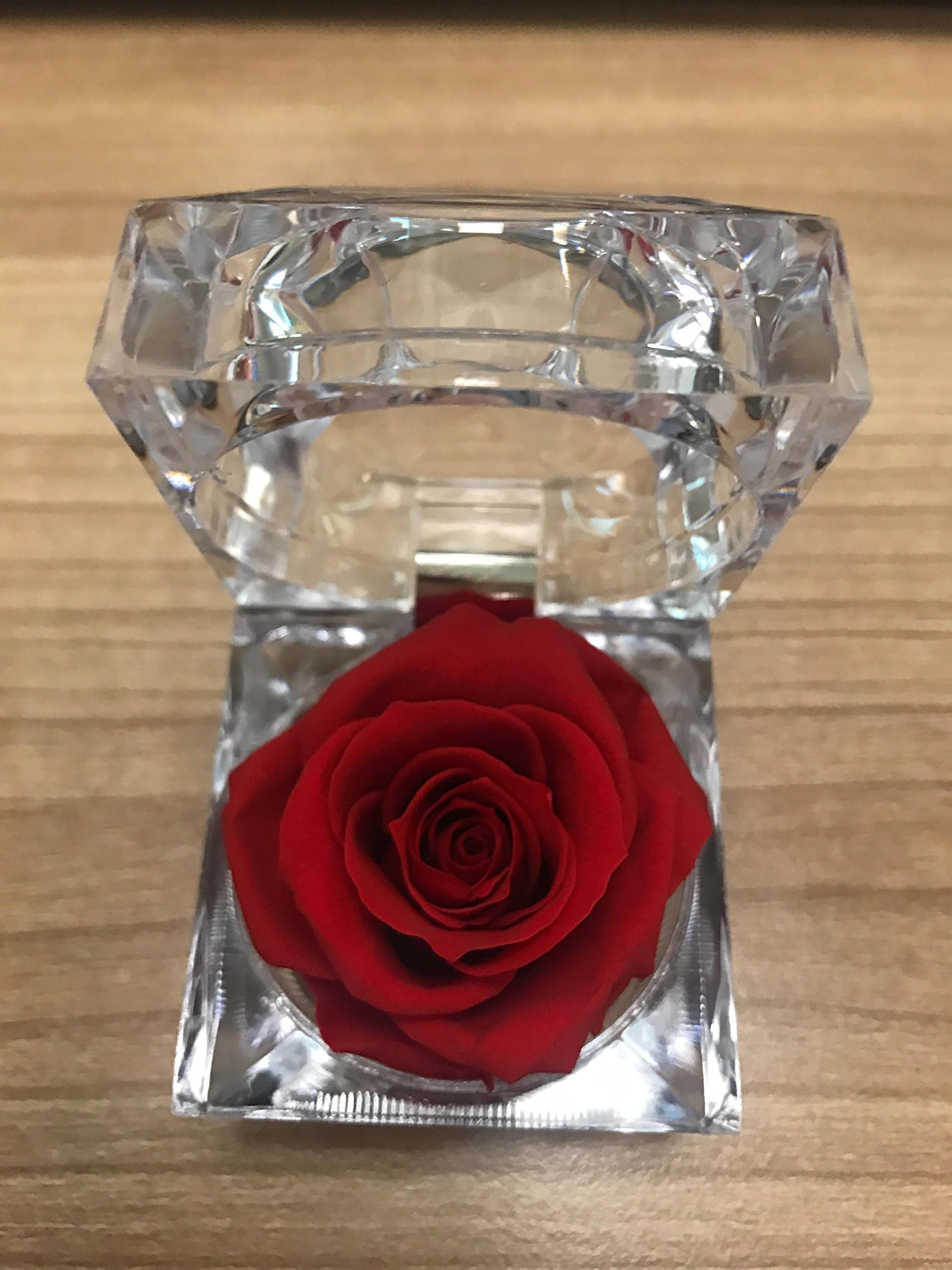 Handmade Preserved Rose in Acrylic Ringbox