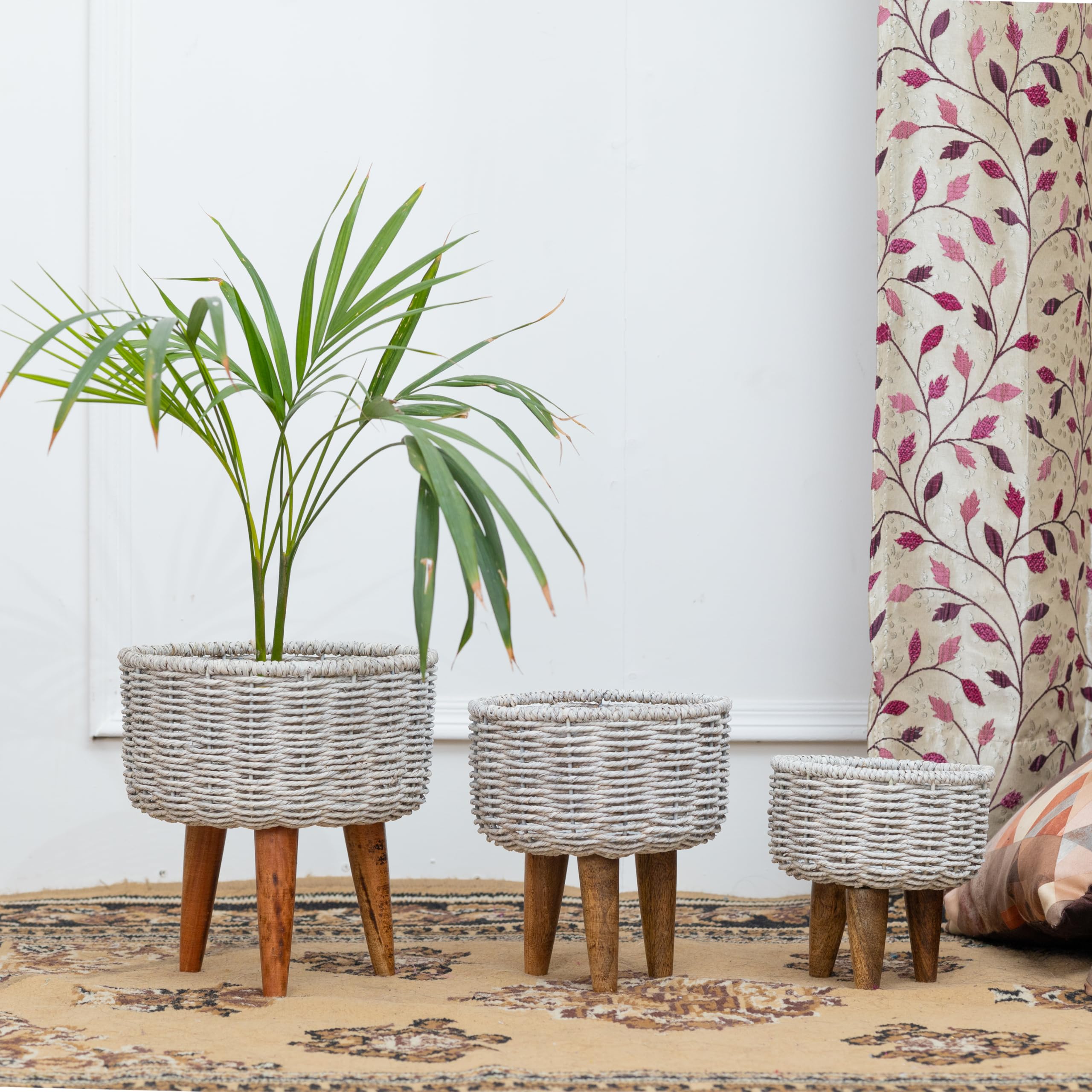 HomeShastra® Hearth Jute Planters (Set of 3) | Indoor Planter Flower Pots| (Hearth Jute White) (B0CJPZ3W61) Amazon Price History, Amazon Price Tracker