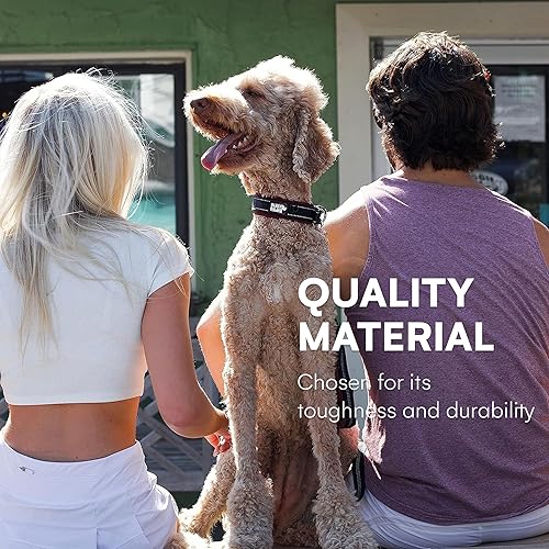 Miniatura 3 de Black Rhino - The Comfort Collar de neopreno ultrasuave acolchado para todas las razas - Resistente ajustable reflectante resistente a la intemperie
