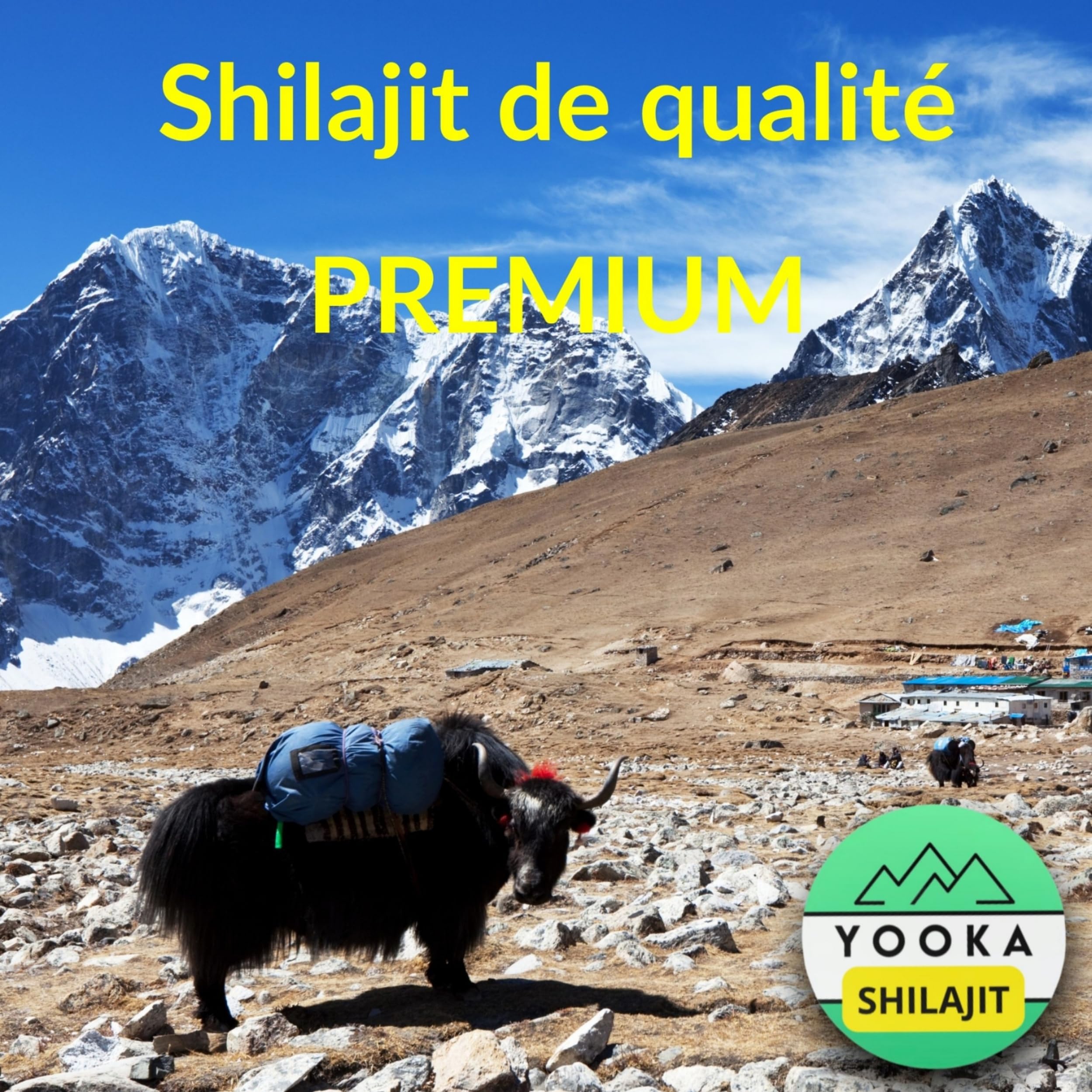 YOOKA Shilajit RESINA 30G natural artesanal de oro puro. 70% ÁCIDO FULVICO, prueba de laboratorio que garantiza +85 minerales, 12% ácido húmico. Secado sol 60 días, purificada 40 veces. Sociedad