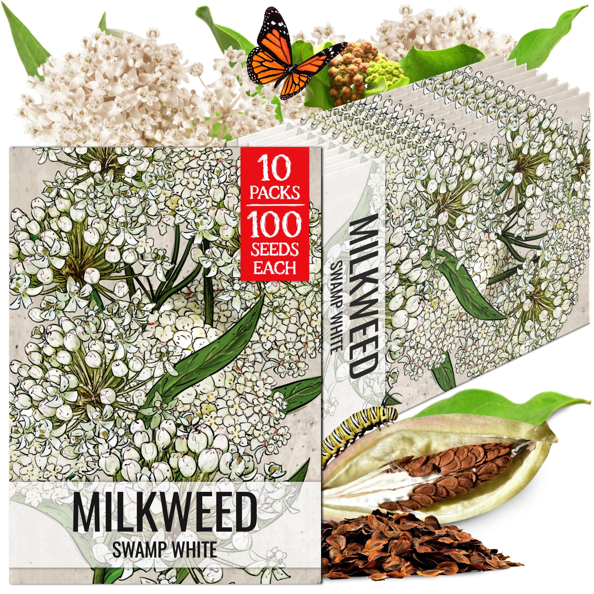 Seed Needs White Swamp Milkweed Seeds for Monarch Butterflies 10 Pack