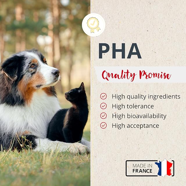 Foto 5 de 6 de PHA Riñones Activ Plus Perro y Gato, Riñón en polvo, 60 g