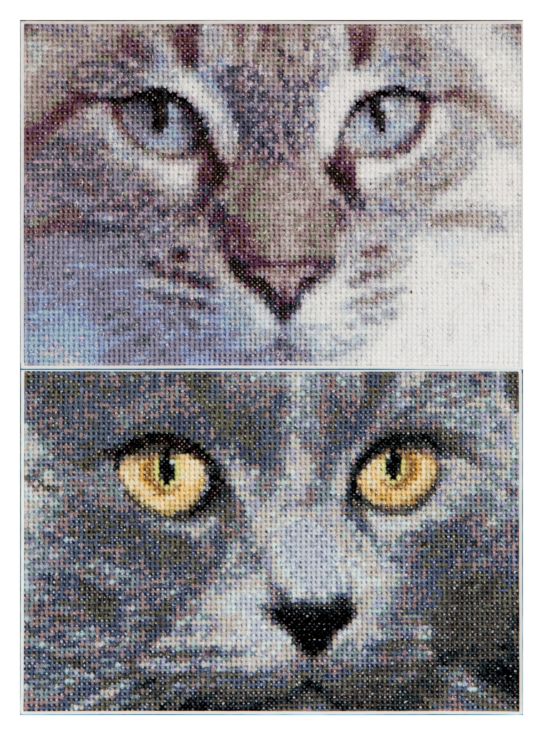 Kit point de croix Chats Jack Luna Aida 16ct diagramme précis pour adultes