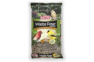 Kaytee No Waste Bird Seeds Keep your Seed-Eating Birds Happy and Healthy