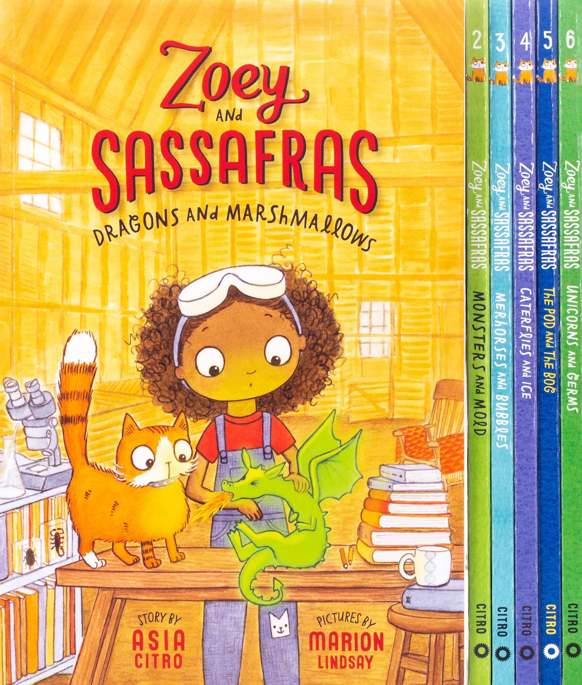 Zoey and Sassafras Books 1-6 Pack