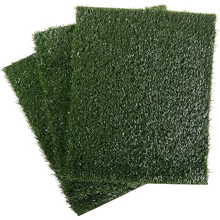 artificial grass trainers