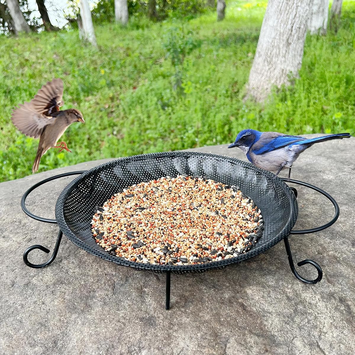 CQAIRIOU Upgraded Ground Platform Bird Feeder Tray,11.8” Stainless Steel Large Bird Feeder Mesh Seed Tray with A Exquisite Tray Station,Attract Wild Birds,Great Decoration for Garden Backyard
