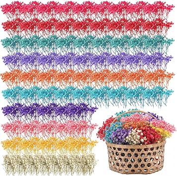 Fumete Mini Dried Baby Breath Flowers Gift Bulk,10 Color,200 Pcs | Mixed Color, Pink Ivory Dried Flowers for Vase, DIY Natural Floral for Wedding, Craft Card Making, Wreath Art Decoration