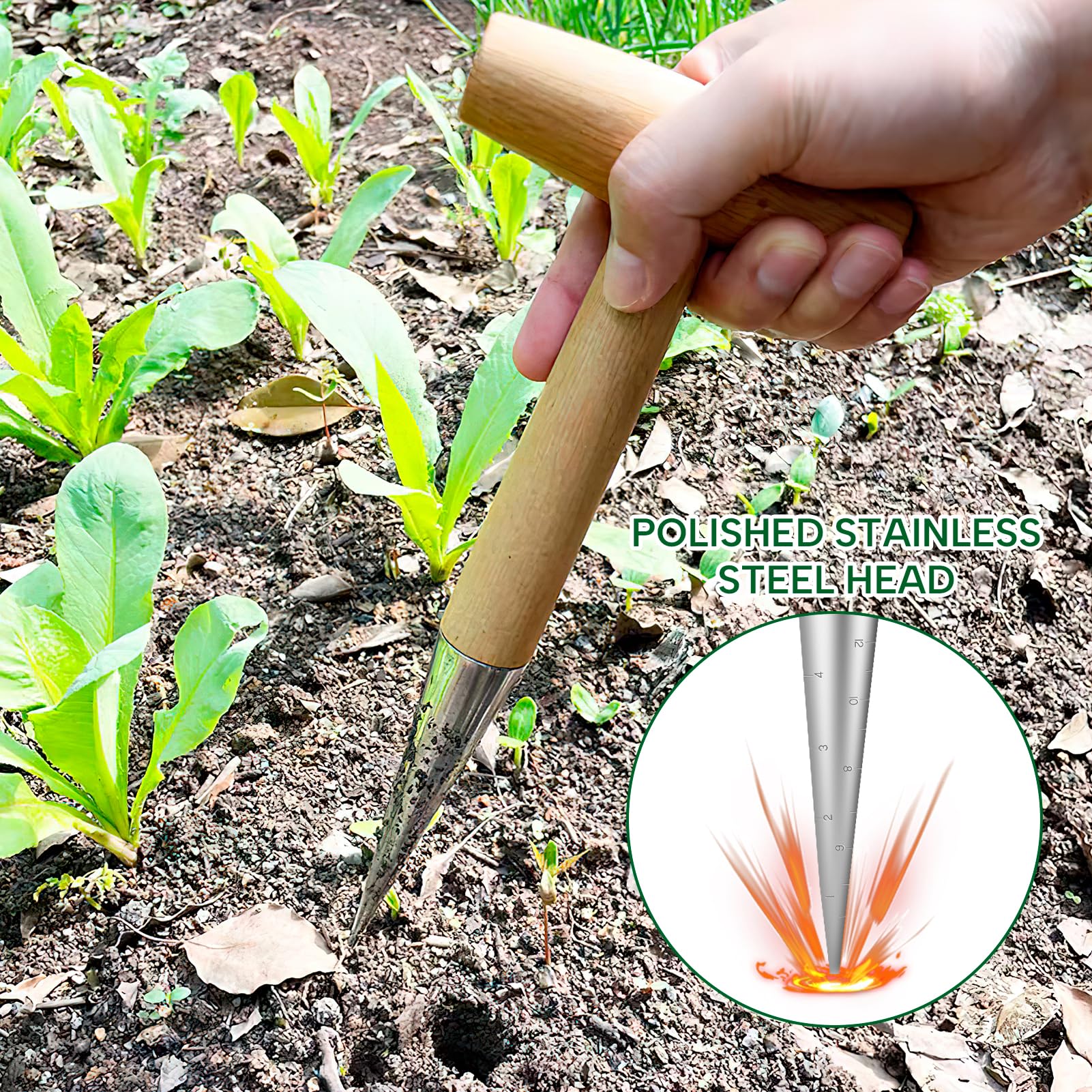 Strumento per Piantare Bulbi in Acciaio Inox con Manico in Legno, Set di Dibbers per Semina con Calibrazione, Legno per piantare attrezzi da giardino tradizionali per Giardinaggio e Piantagione