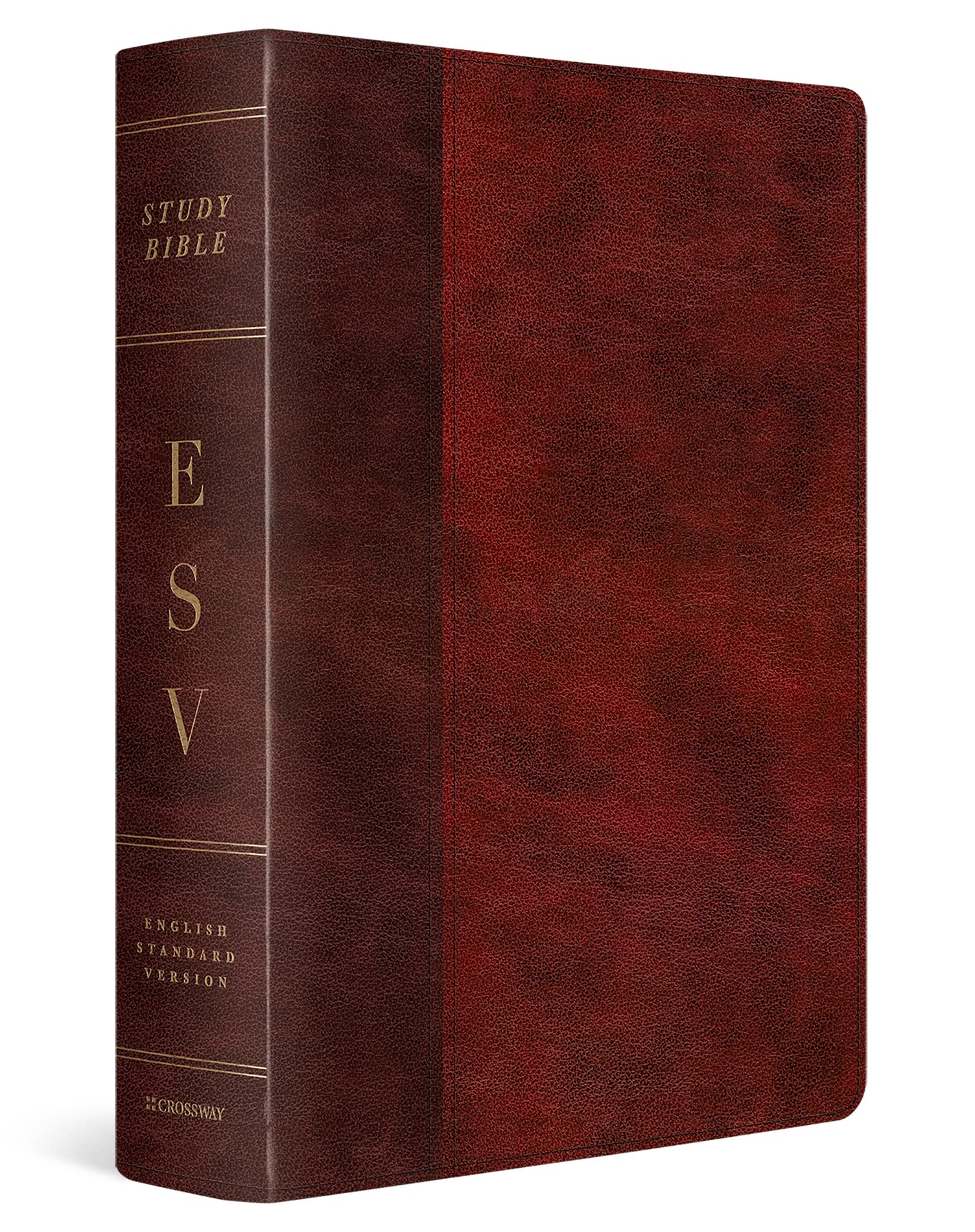 Holy Bible: English Standard Version, Trutone, Burgundy/Red, Timeless Design, Study