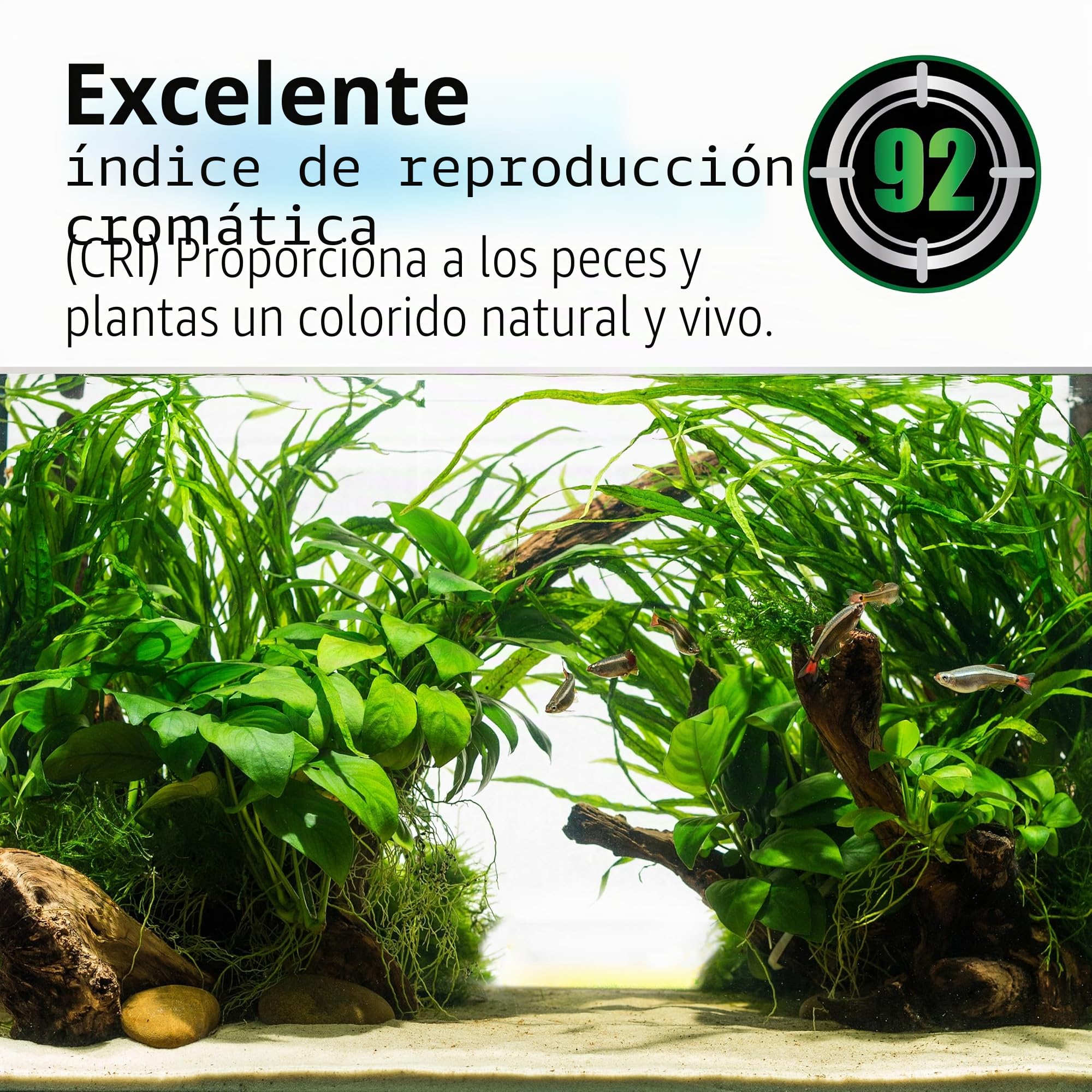 Pantalla para Acuario Fluval Nano Plant 4.0 LED w/BT Mesh, 20 W