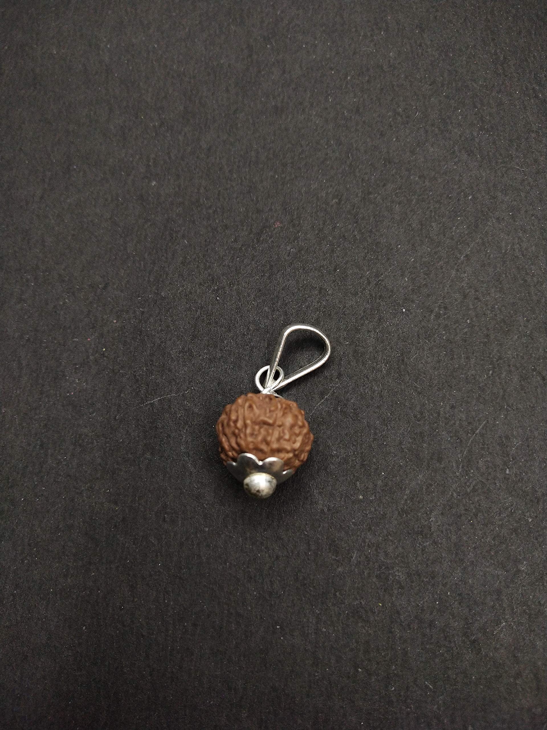 Raviour Lifestyle 9 Mukhi Rudraksha nine face Pendant 9 Faced Rudraksha Bead original Pendant for Men and Women 2