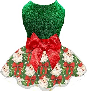Christmas Dog Dress, Festive Holiday Pet Outfit, Shiny Green Top with Glittery Red Bow and Santa Claus Print Skirt