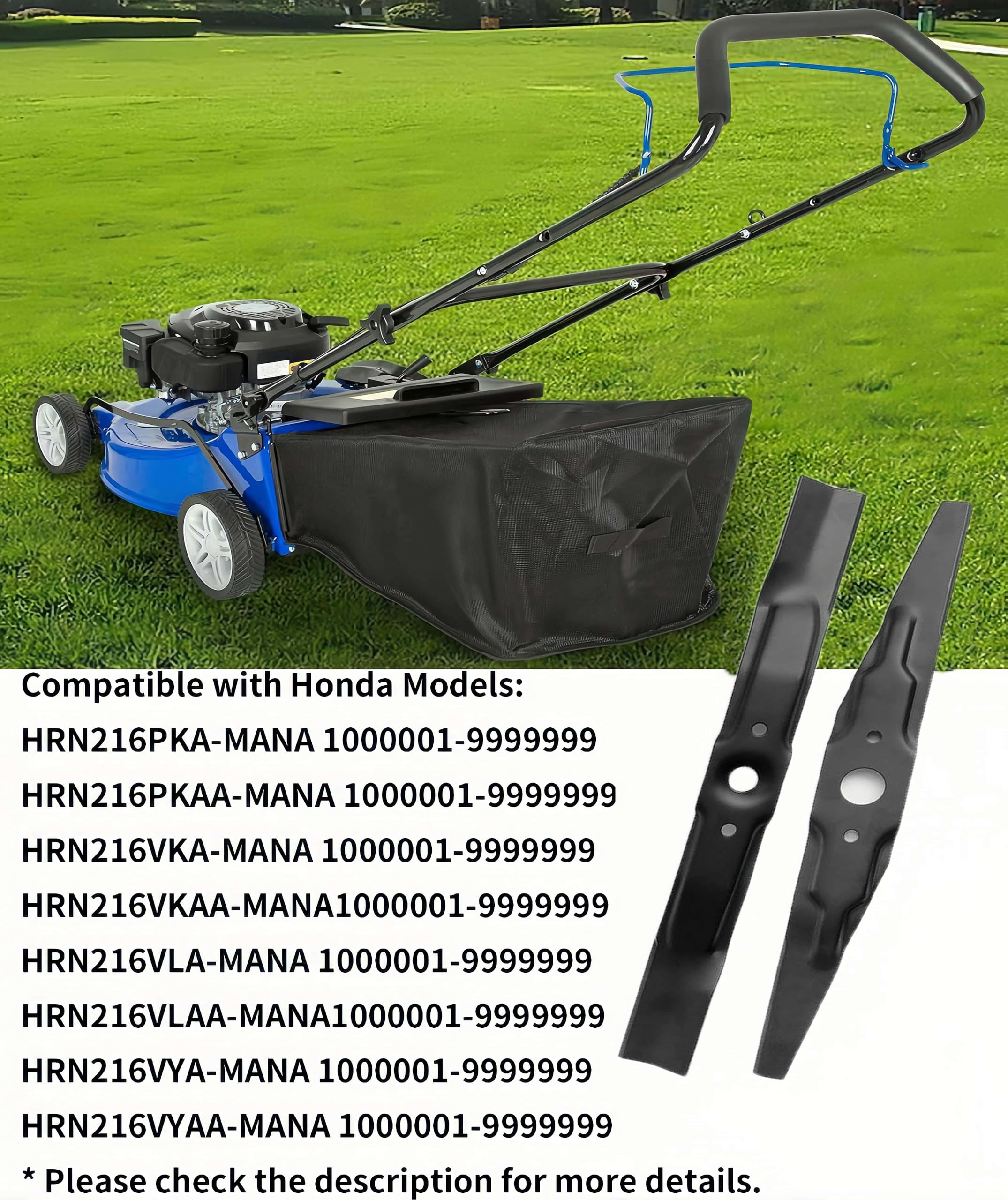 https://m.media-amazon.com/images/I/91wr97NGGsL.jpg