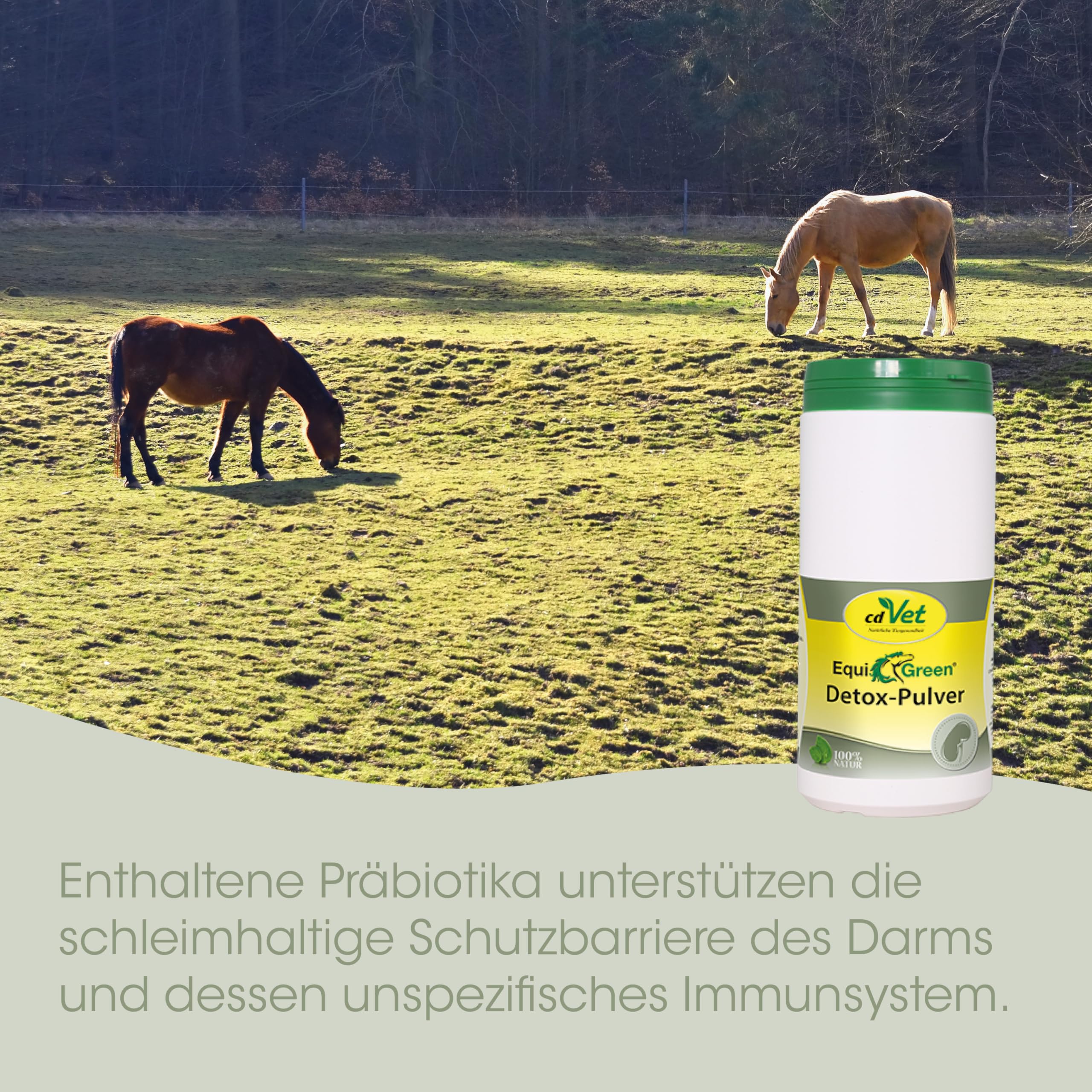 cdVet EquiGreen Detox Pferdemineralfutter 2kg - Bentonit Pulver für verbesserte Darmgesundheit