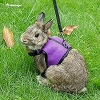 Vista 4 de Niteangel Arnés suave ajustable con correa elástica para conejos (M, negro)