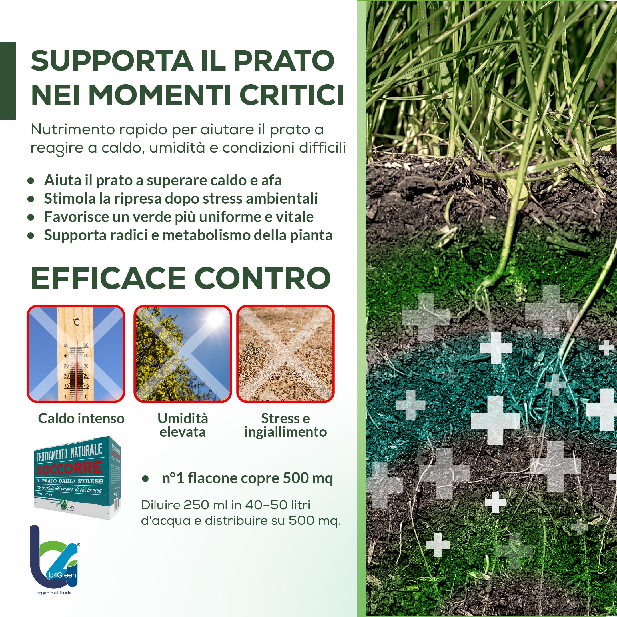 B4Green Soccorre (500m²) – Rinverdente Prato Estate, Biostimolante per Piante Naturale Liquido contro Ingiallimento e Stress da Caldo per Prato Verde e Resistente 250ml