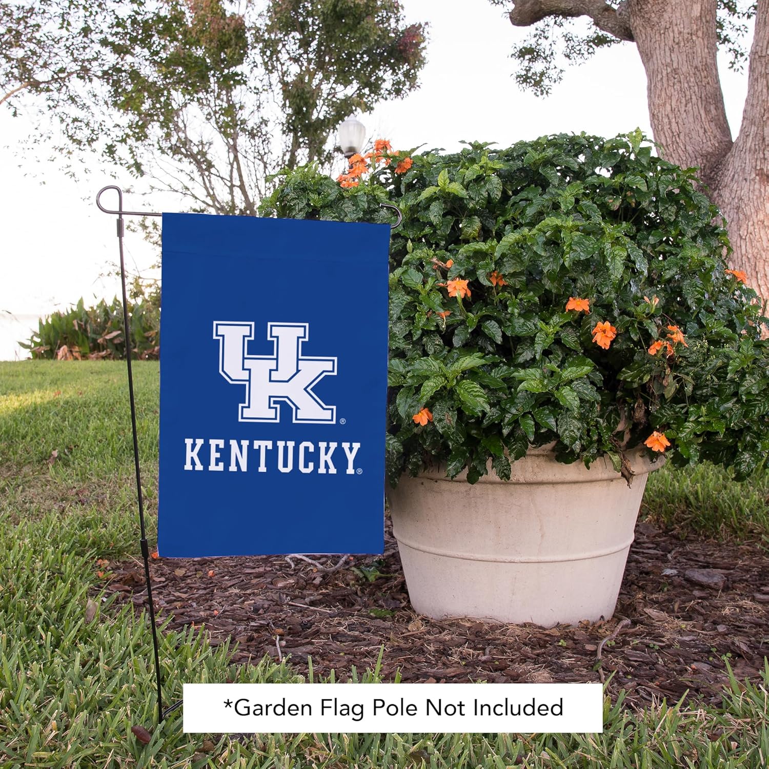 Desert Cactus University of Kentucky UK Garden Flag – 19 x 12 inch Kentucky Wildcats Banner, For Outdoor Display and Events (Design D) - Image 7