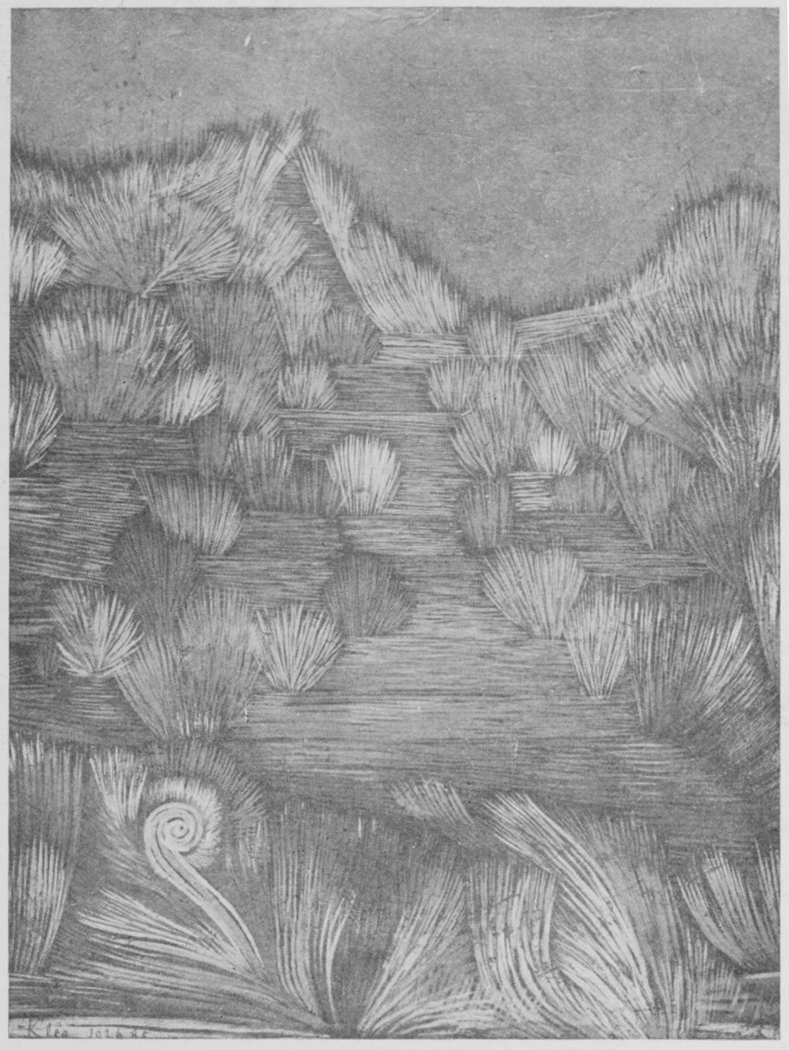 Affiche Paul Klee 15 Rene Crevel cadre en bois brun format Medium