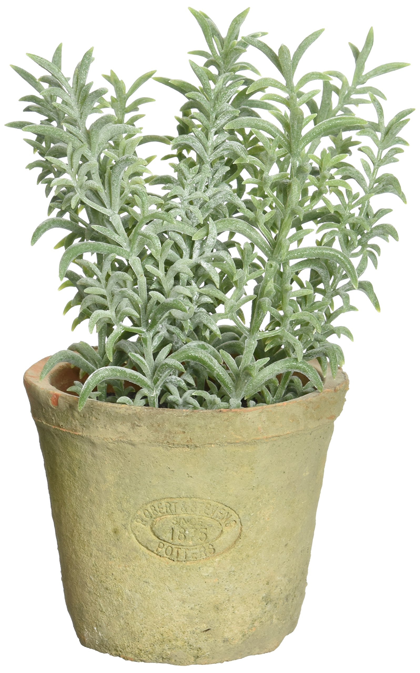 Esschert's Design AH001 Small Artificial Aged Terracotta Pot - Thyme/Green