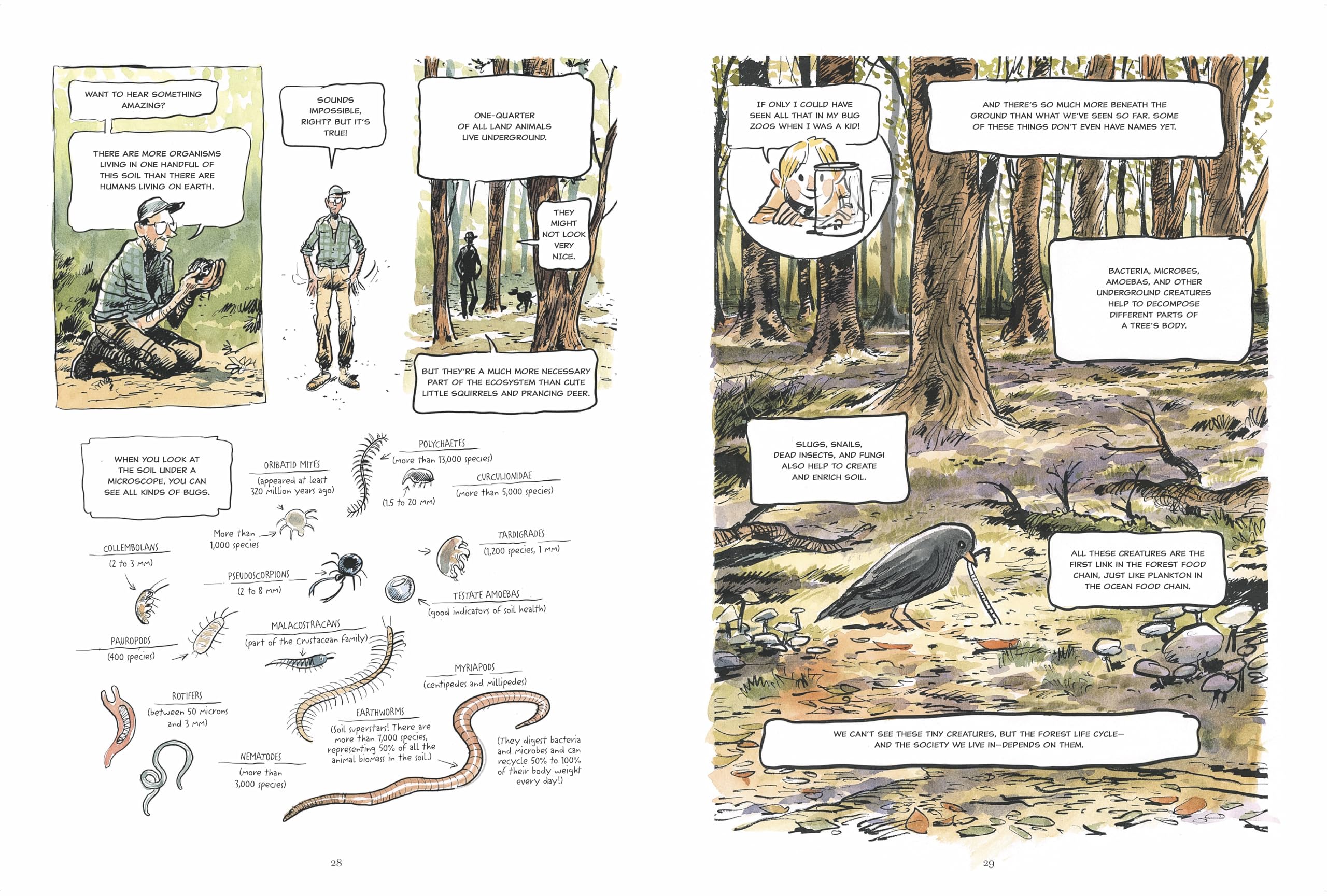 The Hidden Life of Trees: A Graphic Adaptation: (Of the International Bestseller)