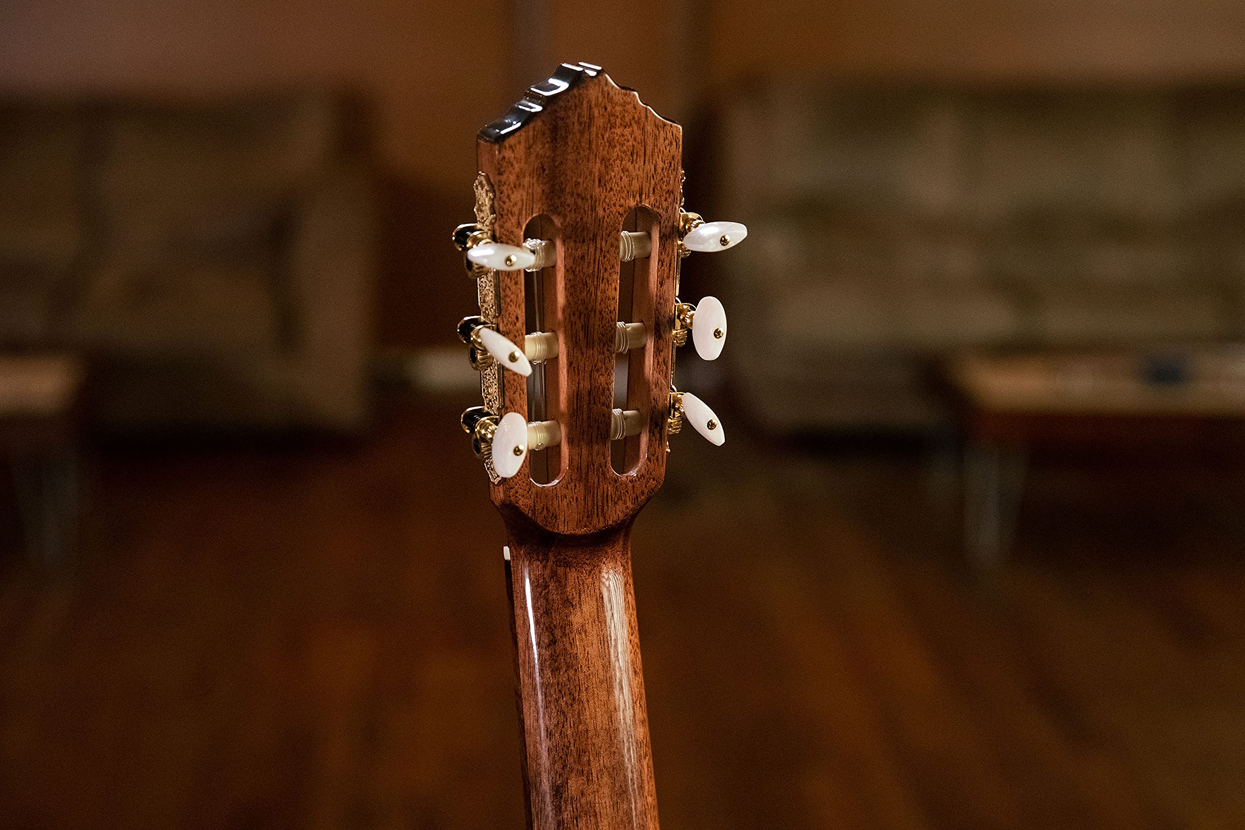 Ortega Guitars Performer Series Chitarra Acustica-Elettrica, con Corde in Nylon, 4/4M Manico Medio, con Borsa, Walmut