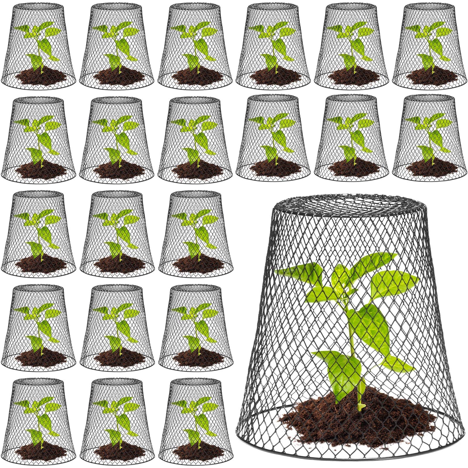 Geosar 20 Pcs Chicken Wire Cloche Plant Protector Cover Metal Garden Cloche Dome for Plants Chicken Wire Protection Basket with Garden Stakes for Avoiding Rabbit Bird Other Small Animals Eat (Black)
