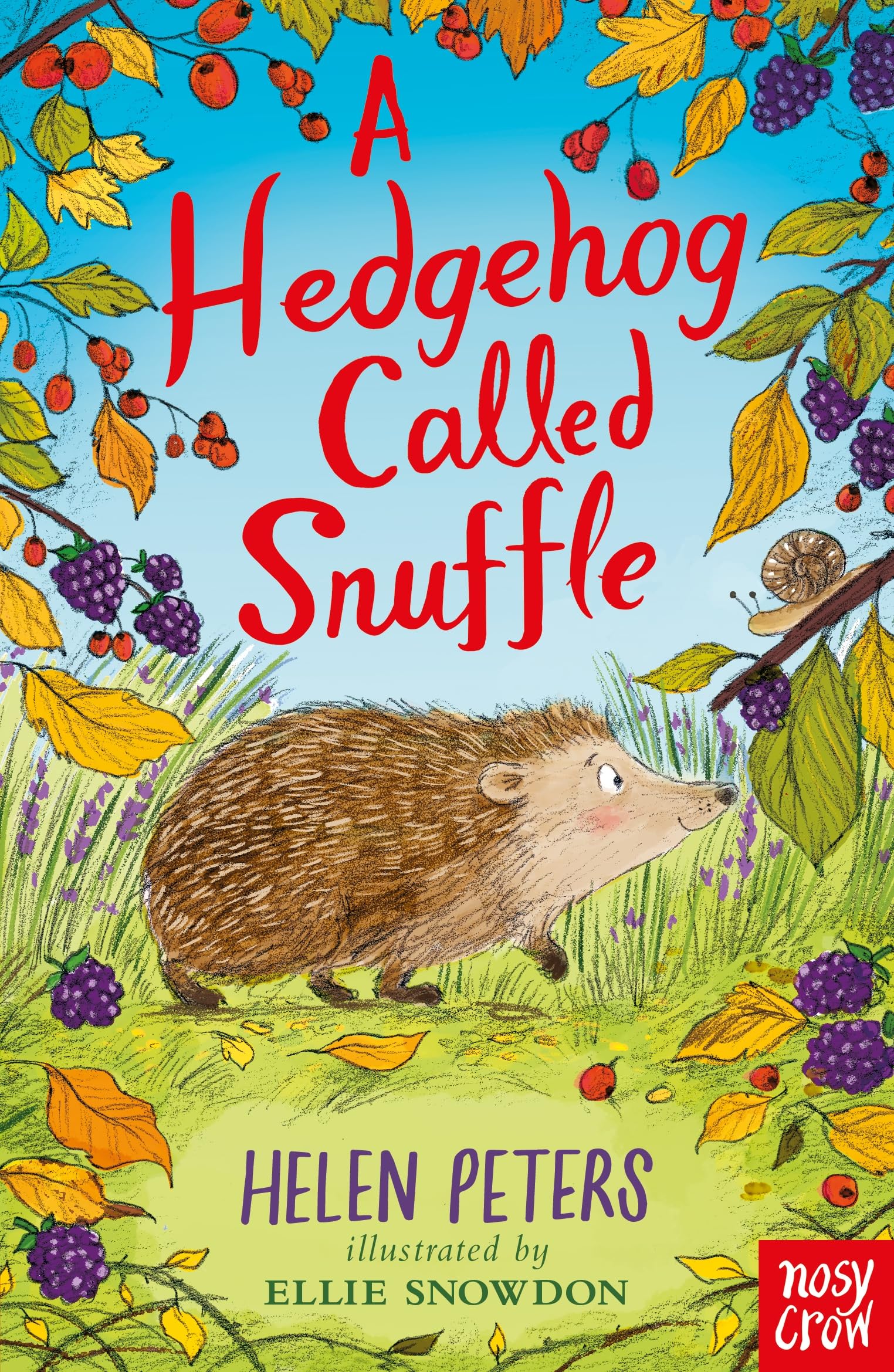 A Hedgehog Called Snuffle by Helen Peters (Paperback Book)