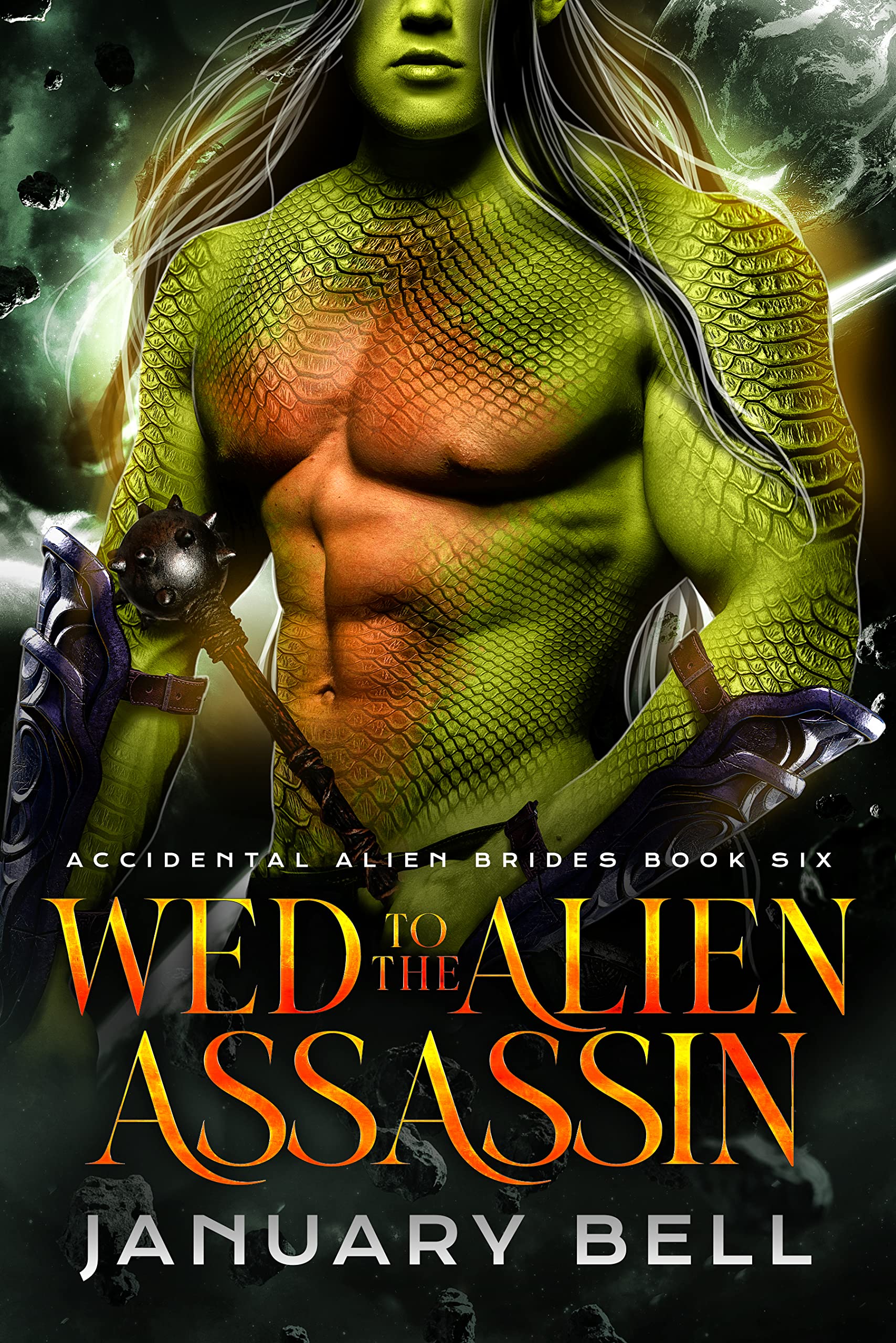 Wed To The Alien Assassin (Accidental Alien Brides Book 6)