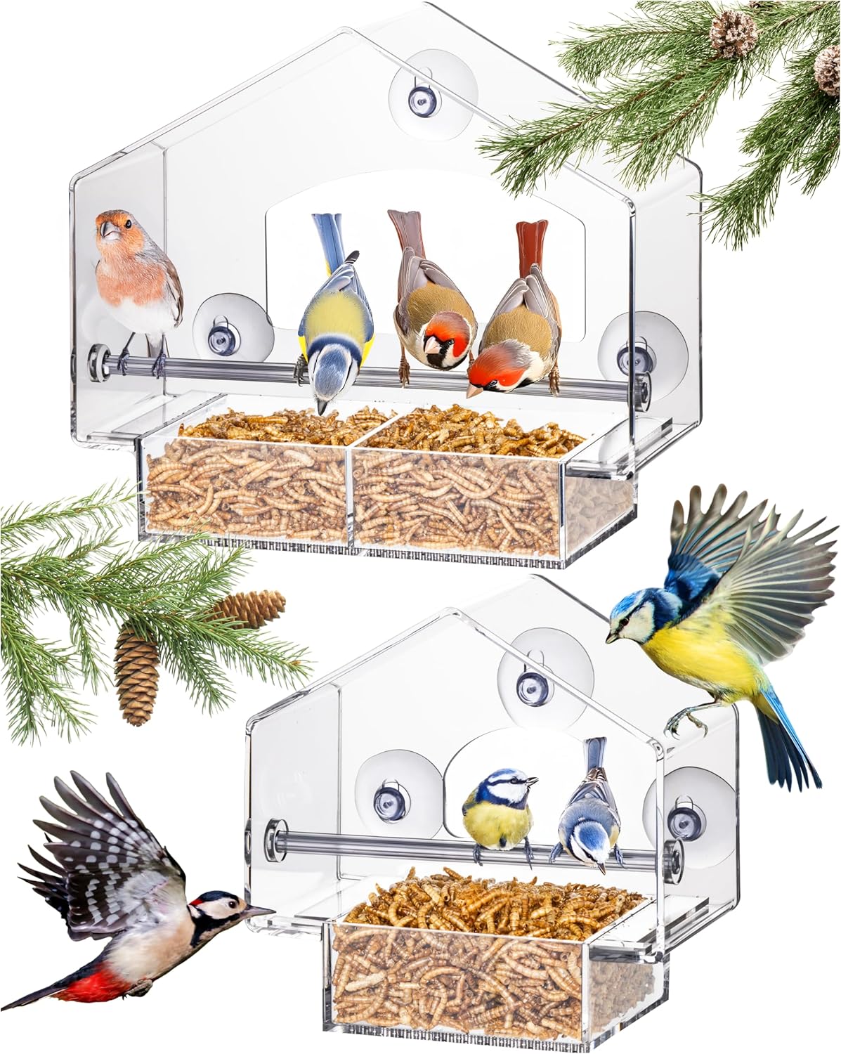 Hatortempt Window Bird Feeder - Set of 2, Clear Plastic - Squirrel-Proof Design with Strong Suction Cups - Wild Bird Feeders for Outdoors & Backyard Birding & Wildlife Viewing