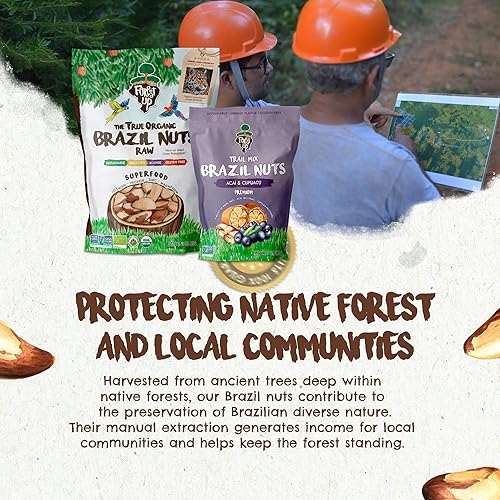 Vista 82 de Snack The True Organic Brasil Nuts 15 oz – Crudos y sin sal – Kosher – Saludables ricos en proteína vegetal – Cosechados en la selva amazónica