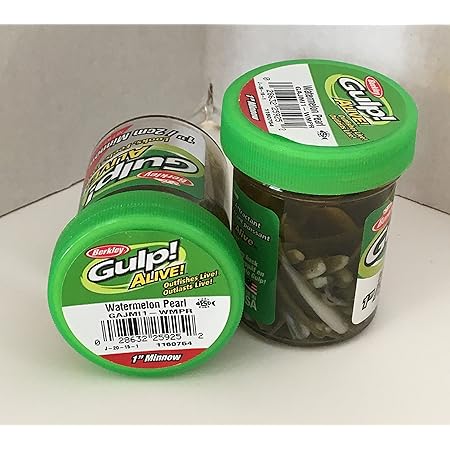 berkley gulp alive minnow