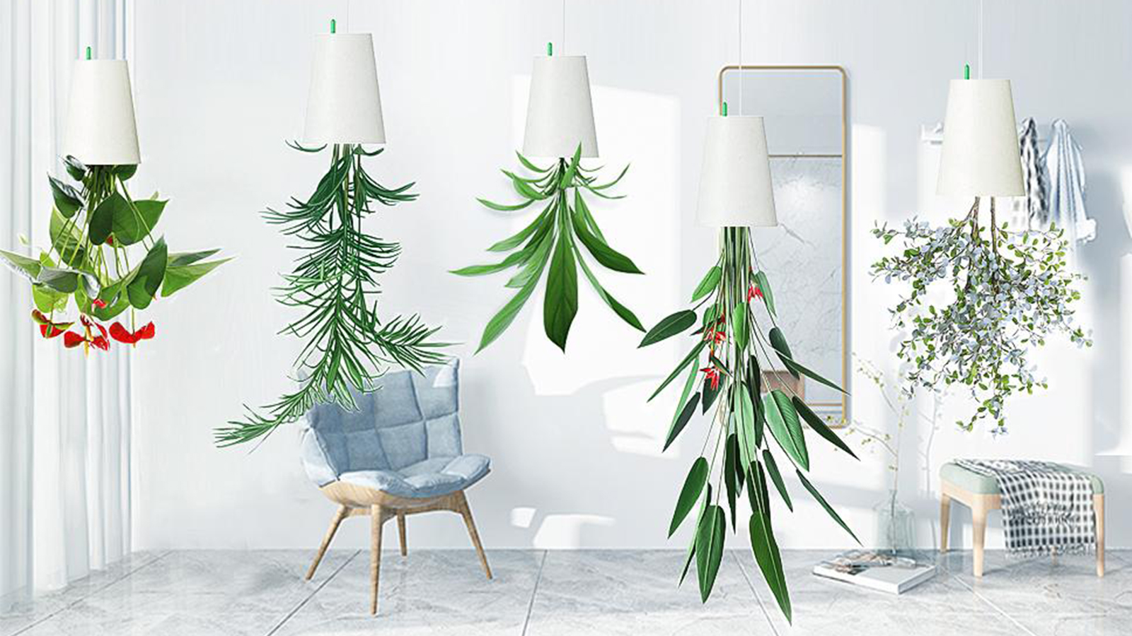 fiddle leaf fig indoor Fiddle Leaf Fig  Indoor Plant Shed
