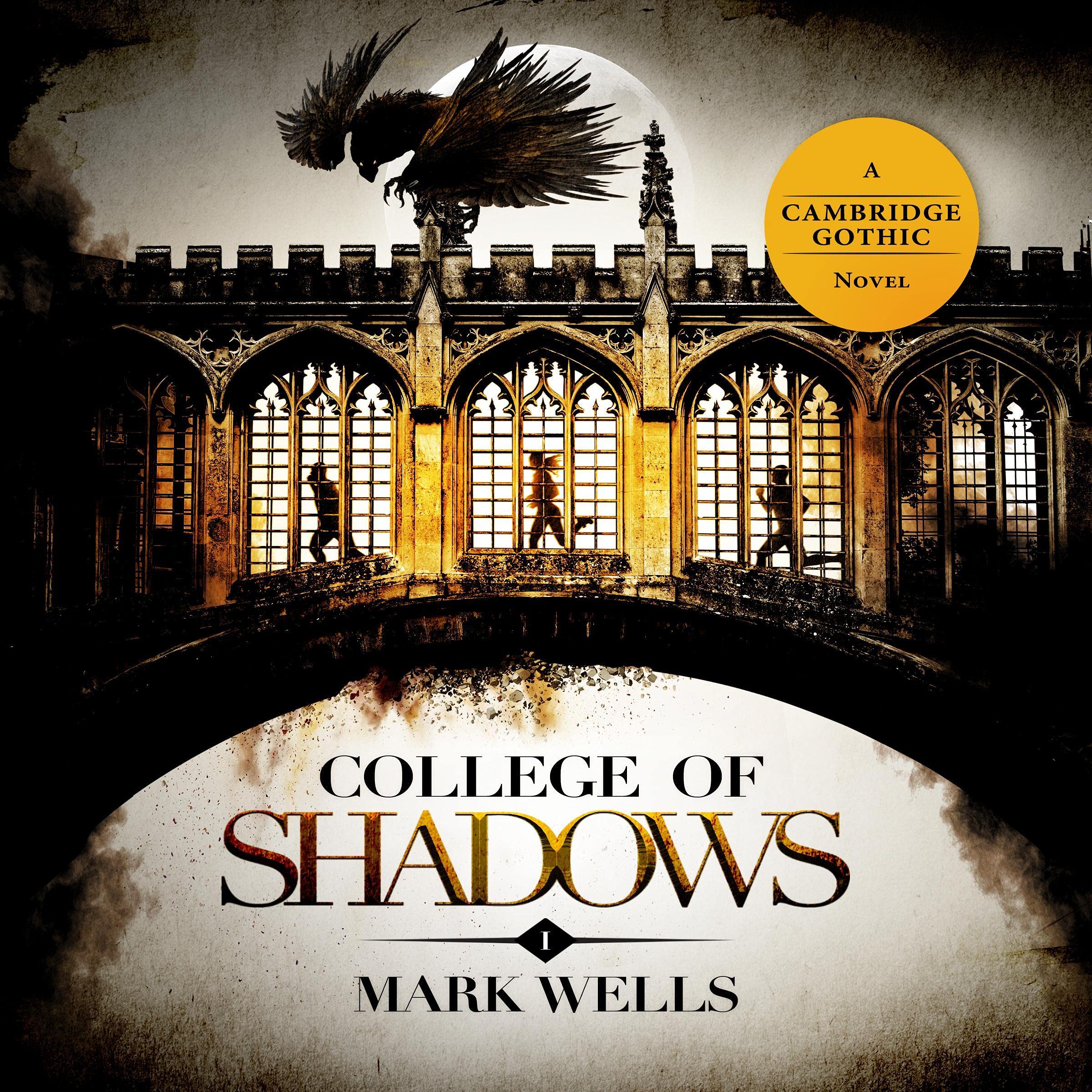 Cover art for College of Shadows