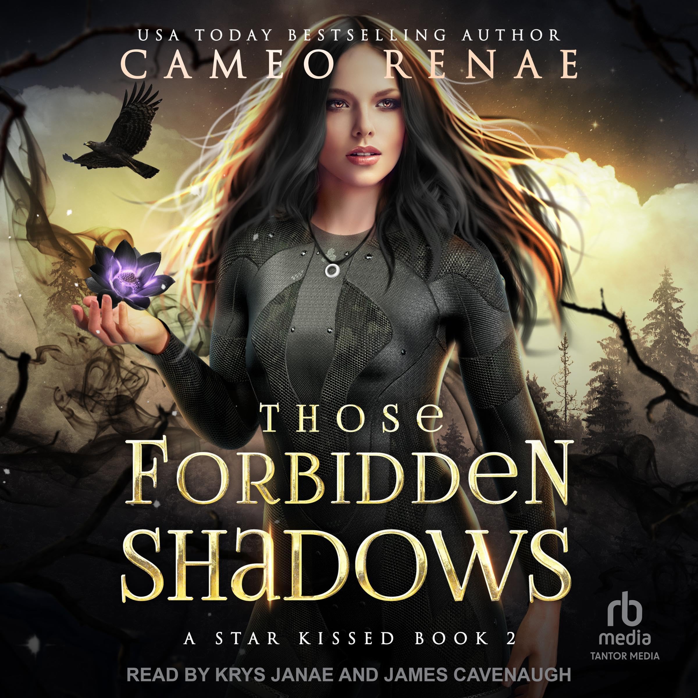 Cover art for Those Forbidden Shadows