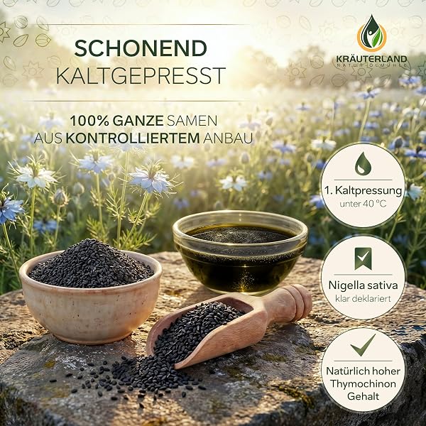 Kräuterland Schwarzkümmelöl 500ml, kaltgepresst & ungefiltert, hoher Thymochinon‑Anteil, ägyptische Samen, mühlenfrisch, 100 % Nigella sativa, naturrein ohne Zusatzstoffe, lichtgeschützten Glas - 2