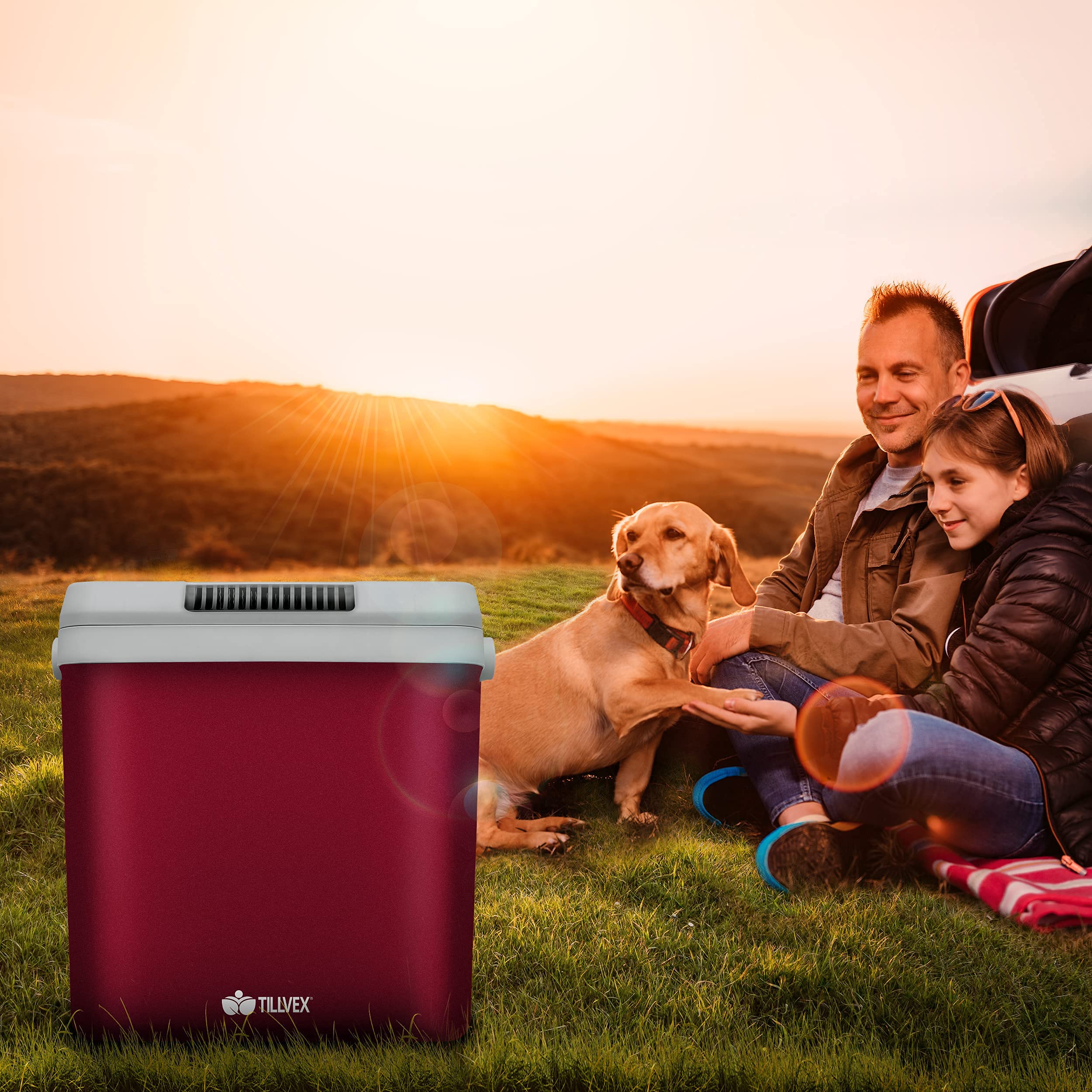 tillvex lodówka elektryczna 32L | Mini-lodówka 230 V i 12 V do samochodu, kempingu | chłodzi i ogrzewa | tryb ECO (czerwony)