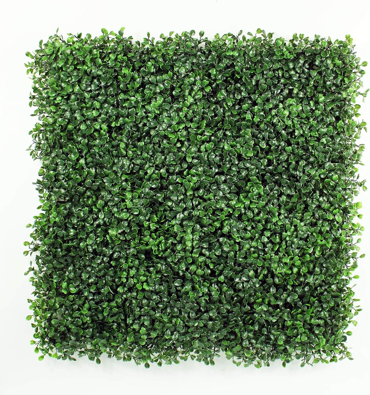 HYGRAD® 12 x Artificial Boxwood Topiary Green Artifical Grass Screen Fencing Hedge Panels 50 x 50 UK Artificial Wall Decoration Panels (Pack of 12) (Dark Green)