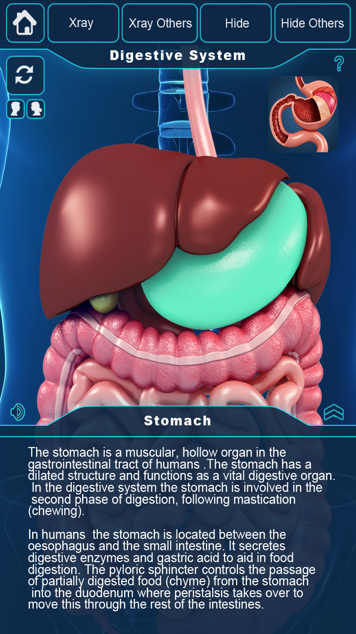 Digestive System Anatomy Pro. - App on Amazon Appstore