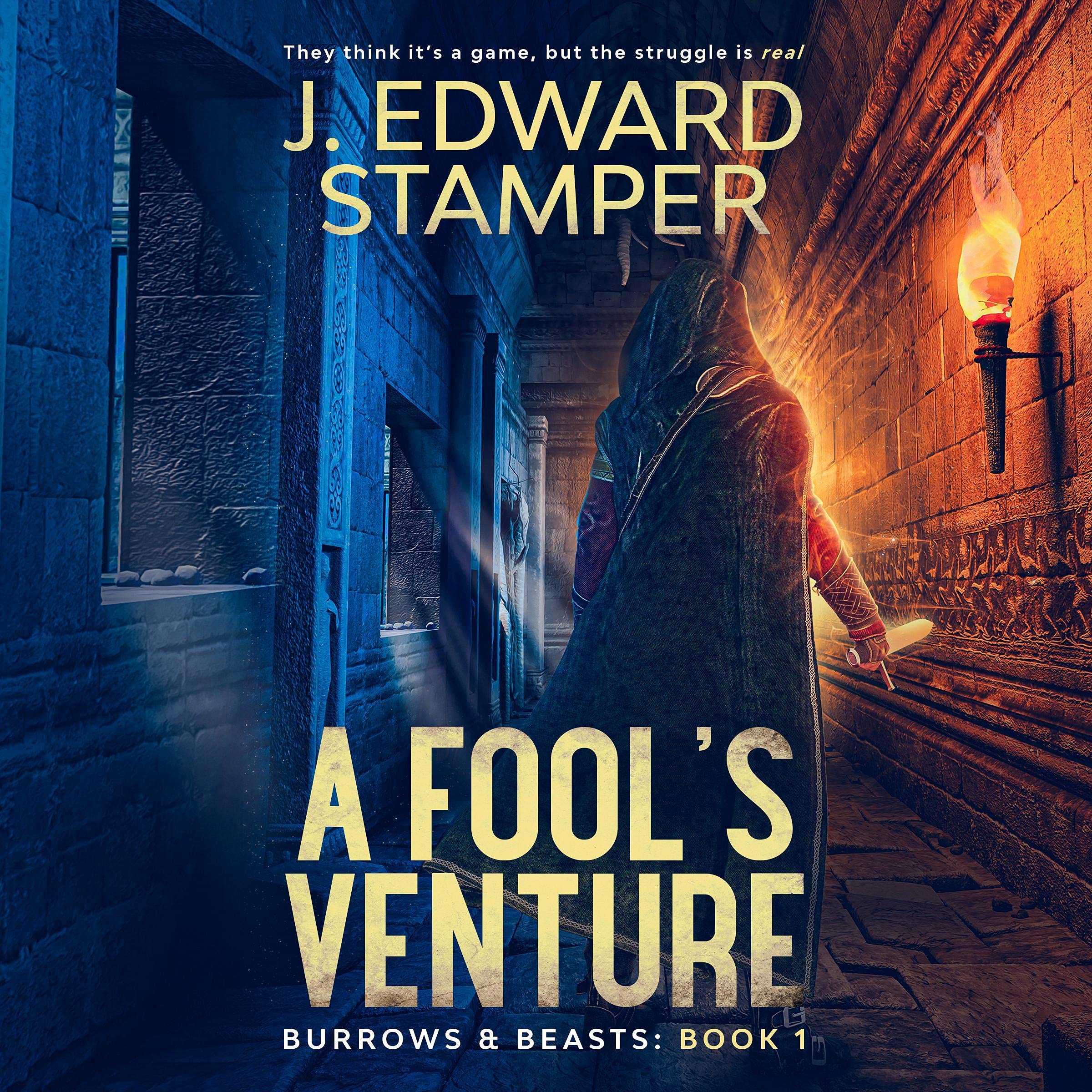 Cover art for A Fool's Venture