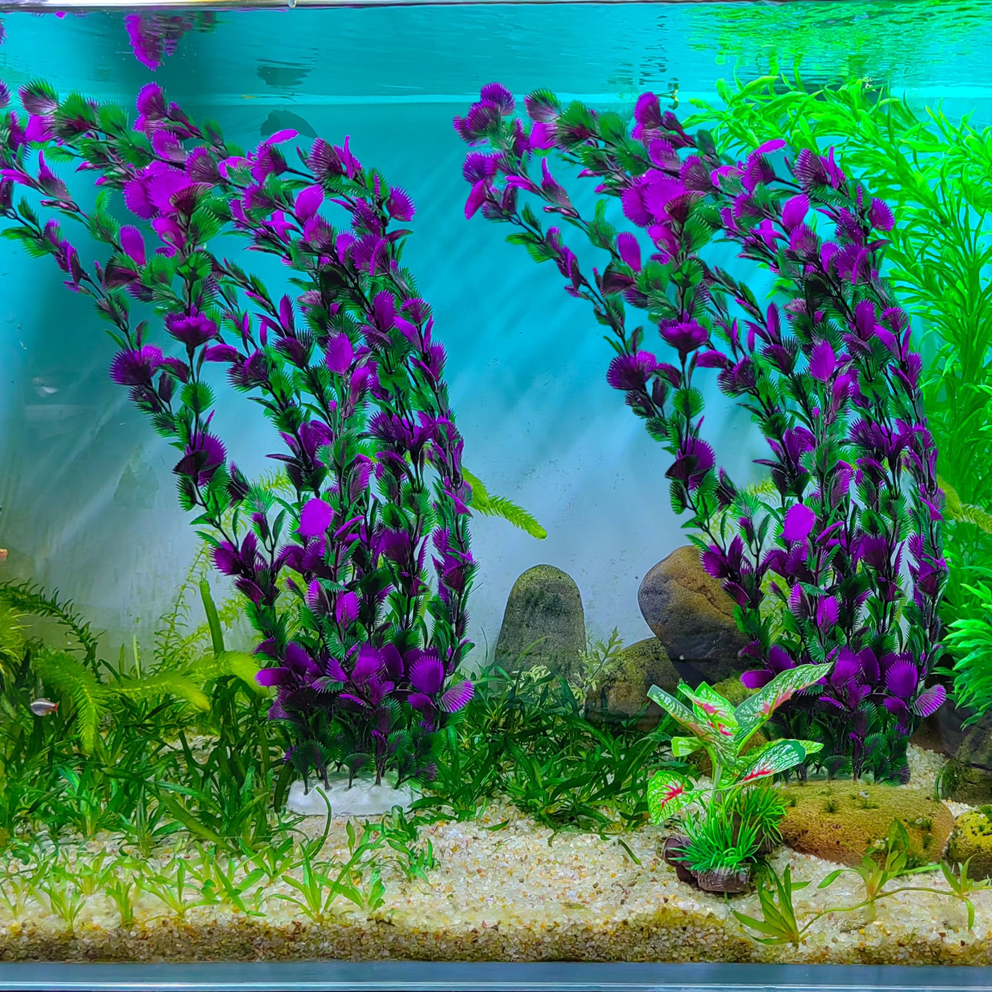 20.47 Inch Tall Aquarium Plants – Large Lifelike Artificial Fish Tank Decorations, 2 Pcs Fish Tank Plants Plastic?Durable & Safe for Freshwater/Saltwater Aquariums (Purple (Style C))
