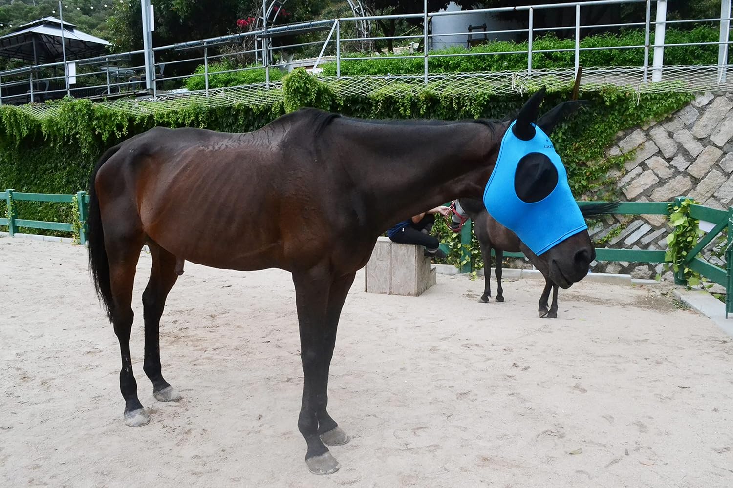 Liekkas Super Comfort Horse Fly Mask Elasticity Fly Mask with Ears UV Protection for Horse(S,Black) : Pet Supplies