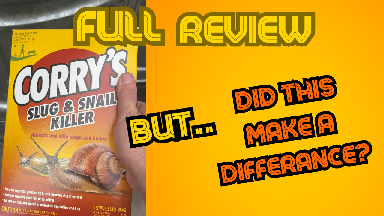 Watch Review - Corry's Slug Snail killer - does this really work? on ...