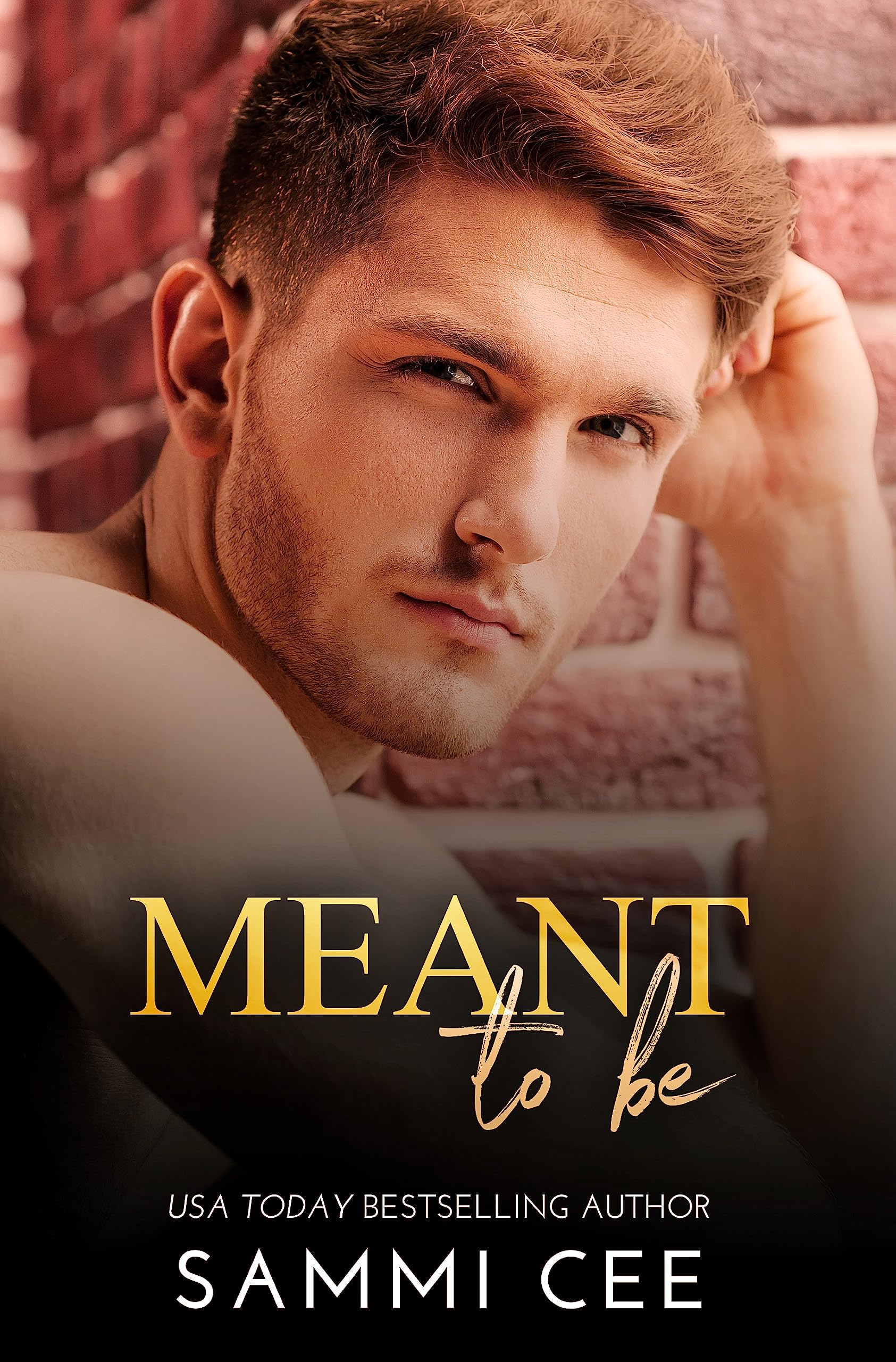 Meant To Be: A Prequel Daddy Novella (Love On Tap 2: Pain & Healing Book 1)