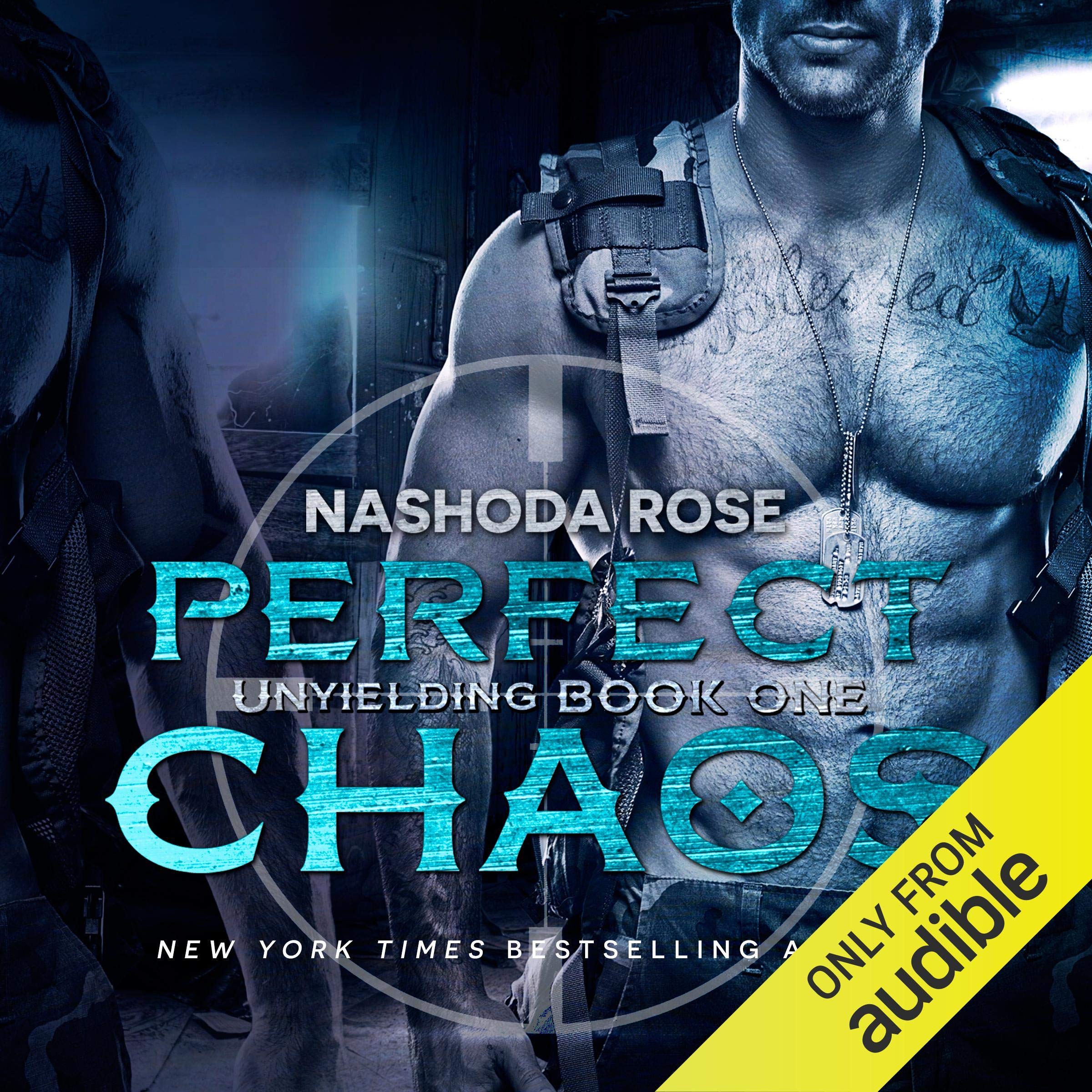 Cover art for Perfect Chaos