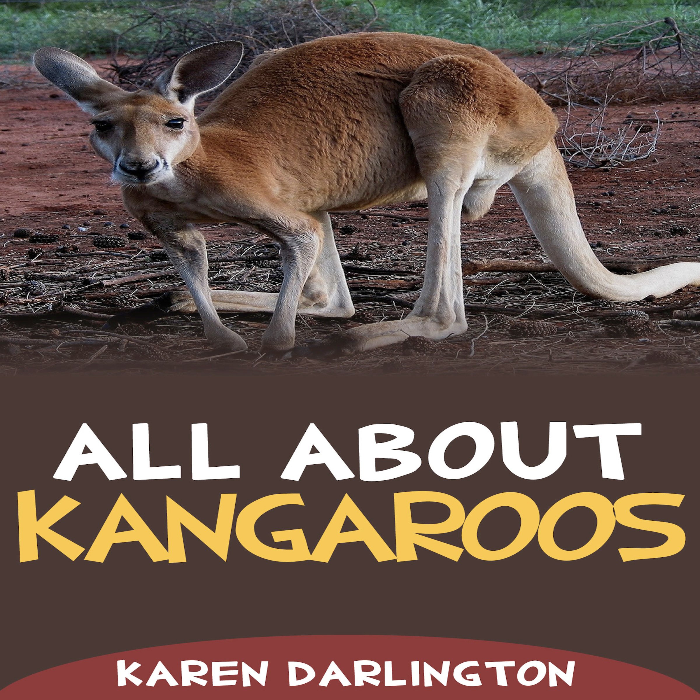 All About Kangaroos