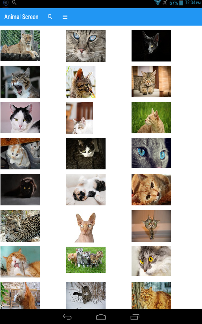 Animal Screen App on Amazon Appstore