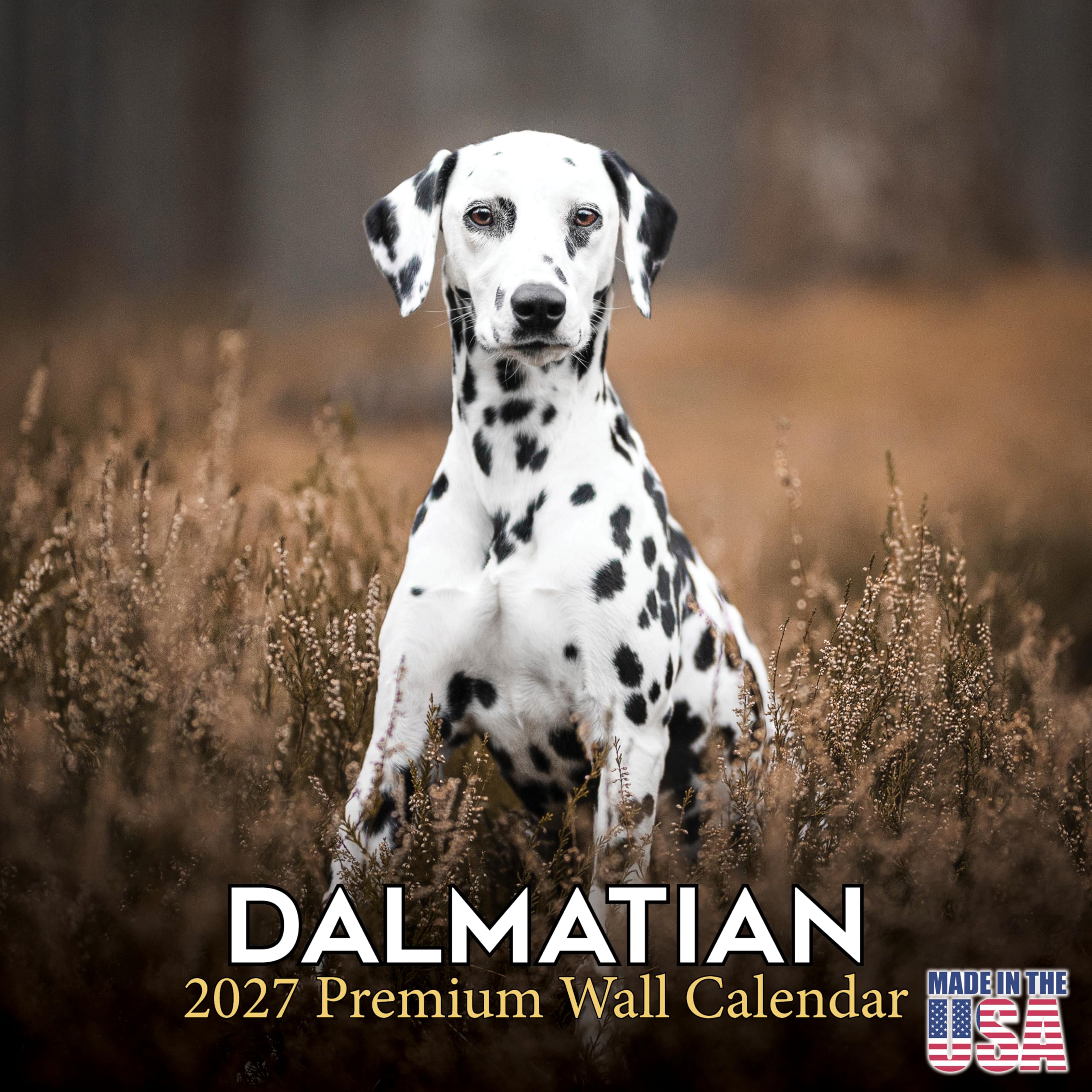 Dalmatian Calendar 2026 by MegaCalendars – Monthly Dog Breed Wall Calendar, Made in USA — image 1