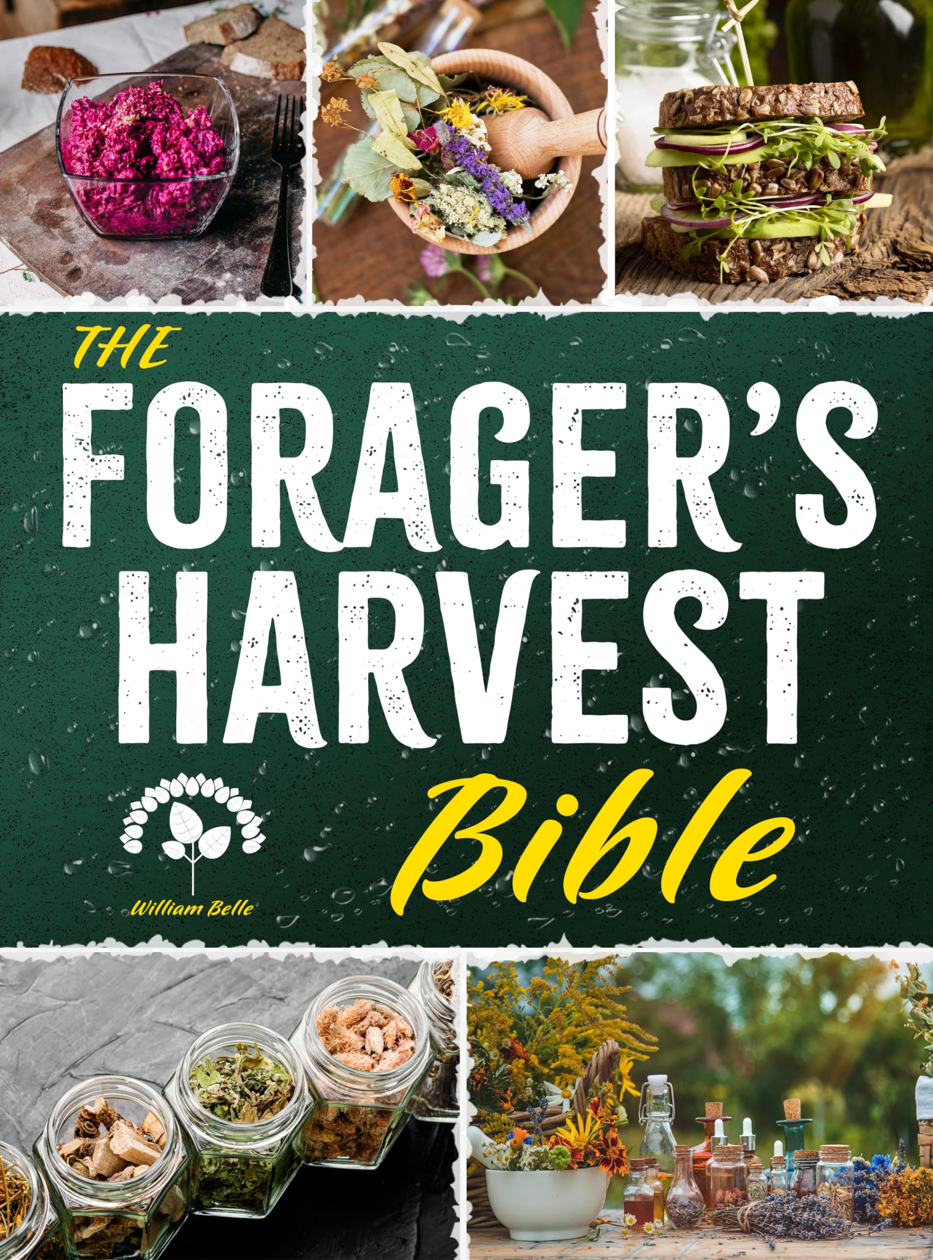 The Forager's Harvest Bible: The Ultimate Guide to Identifying, Harvesting, Preparing and Storing Wild Products